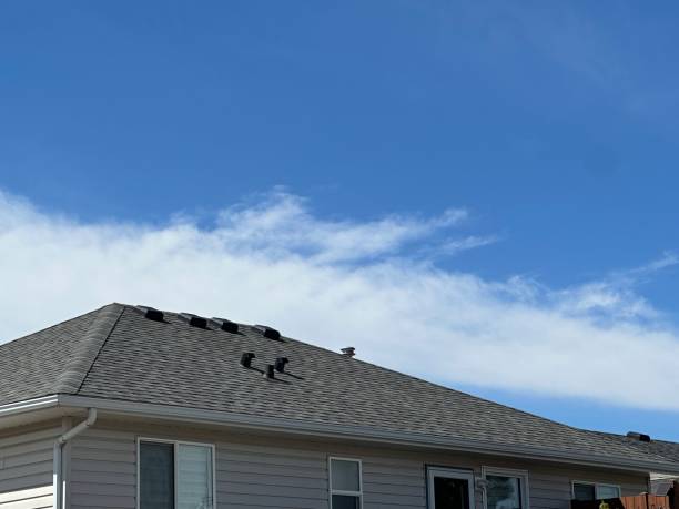 Best Metal Roofing Installation  in Brownsville, PA